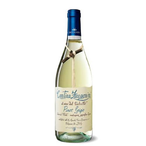 Cantina Zaccagnini Pinot Grigio White Wine - 750ML - AtoZBev
